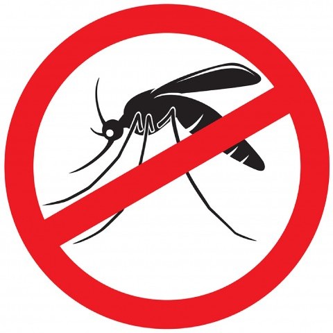 Xô Mosquito