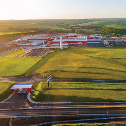 Início dos abates em Assis