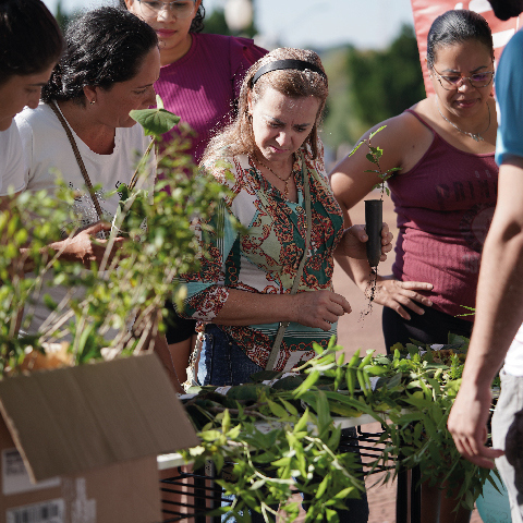 Frimesa participou do Dia do Cooperar