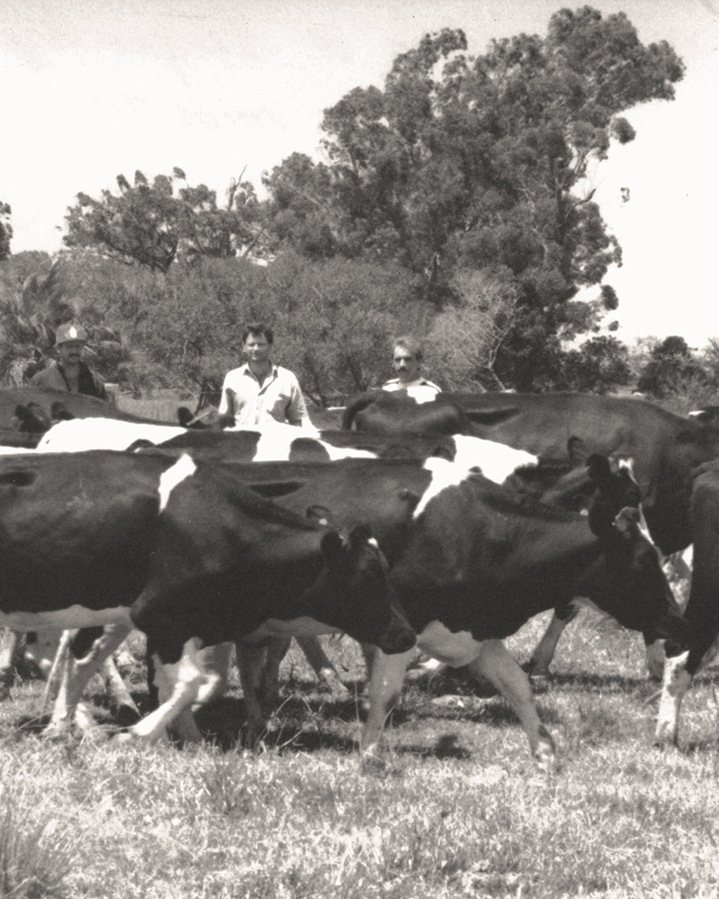 Formación de la cuenca lechera