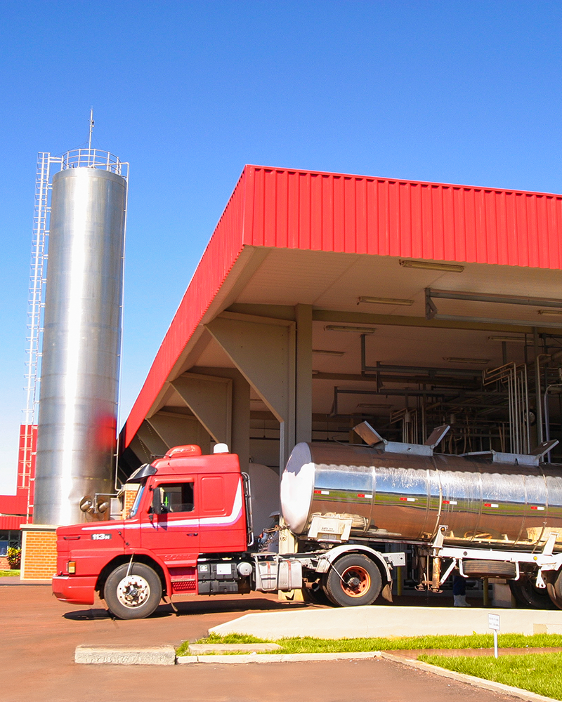 Optimización de la leche