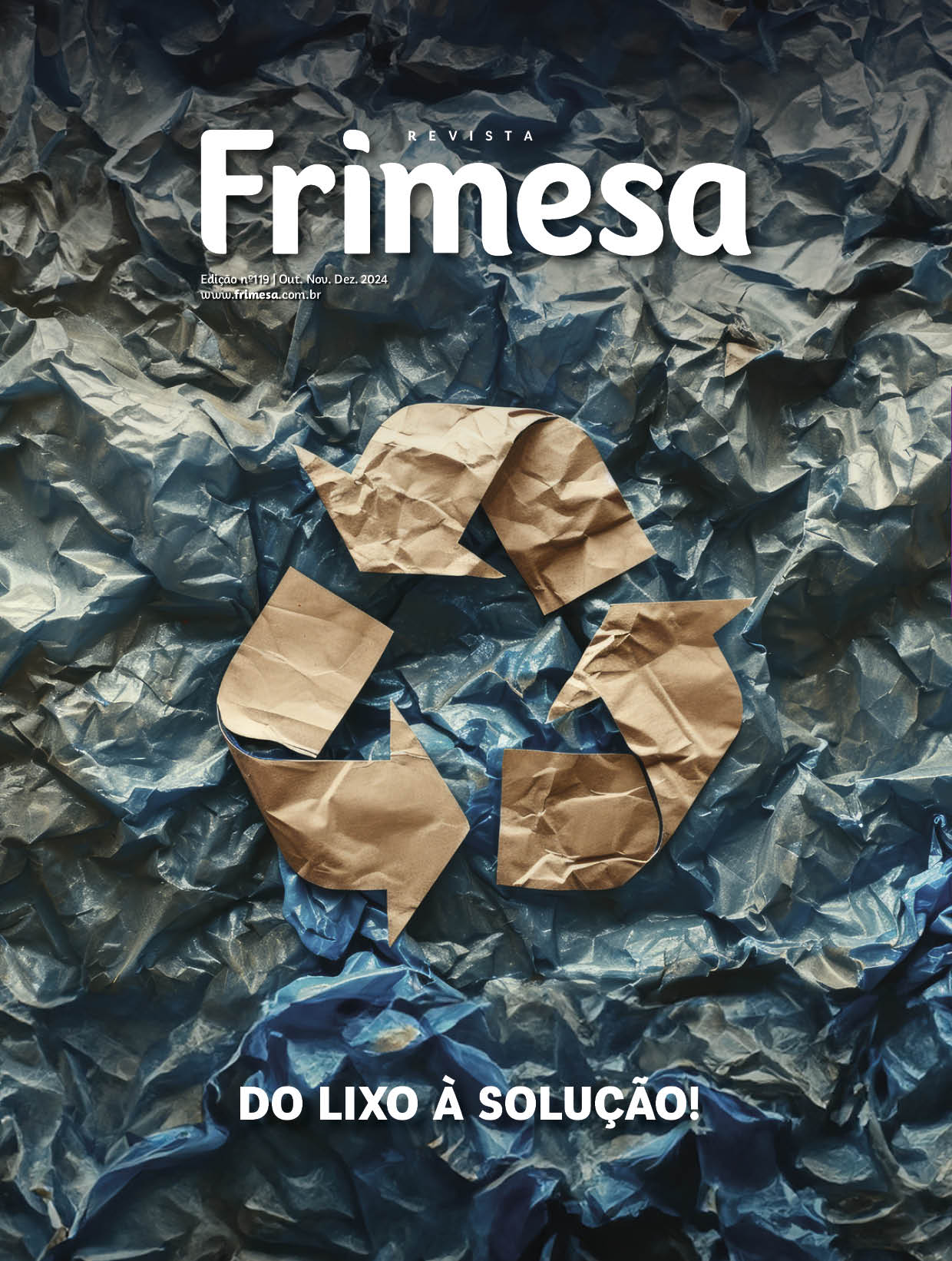 Revista 119
