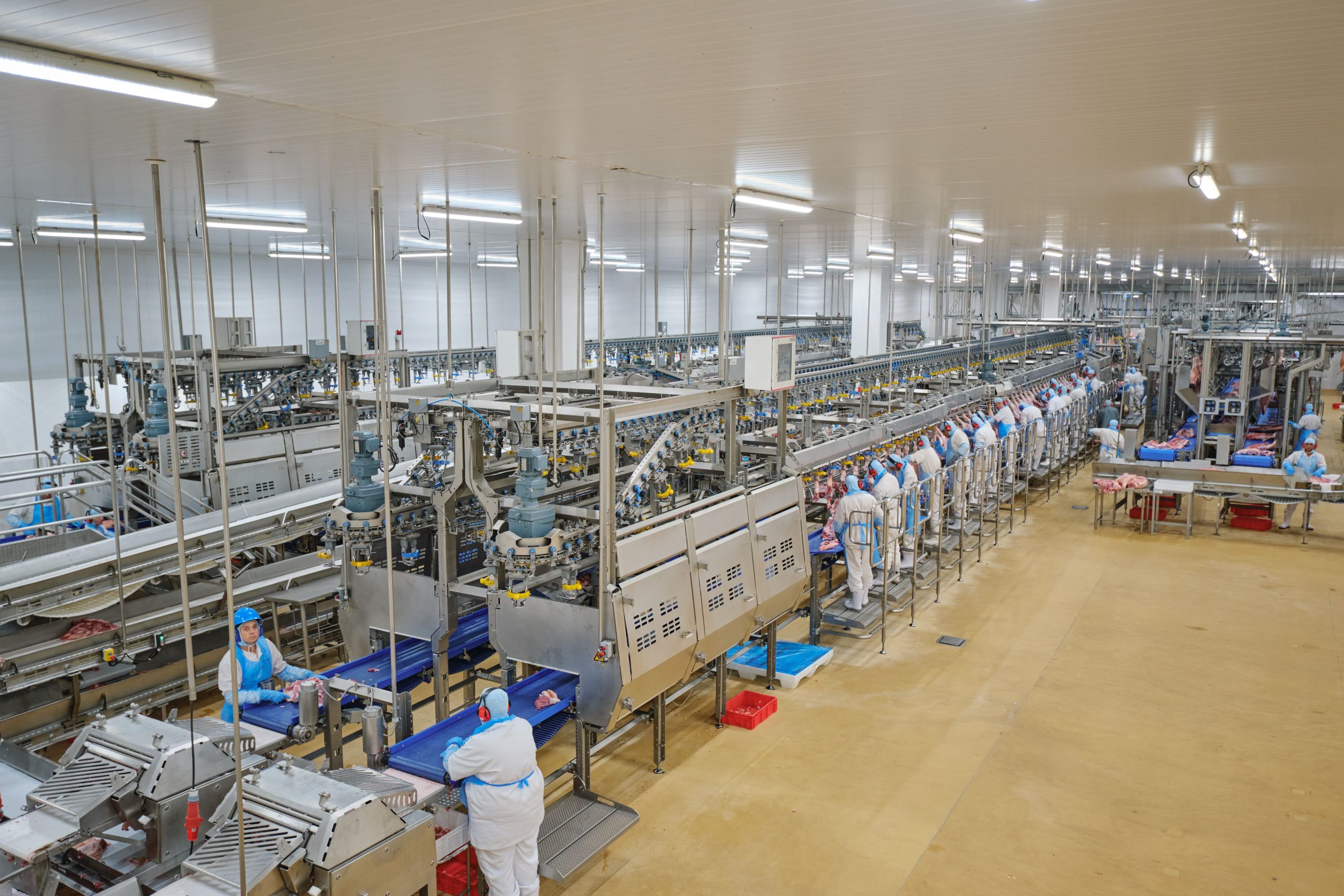 Nuevo liderazgo y compromisos ESG